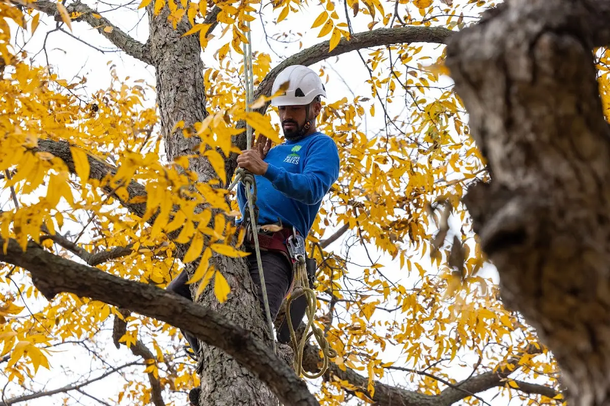 Skilled Storm Damage Cleanup crew working in Oolitic